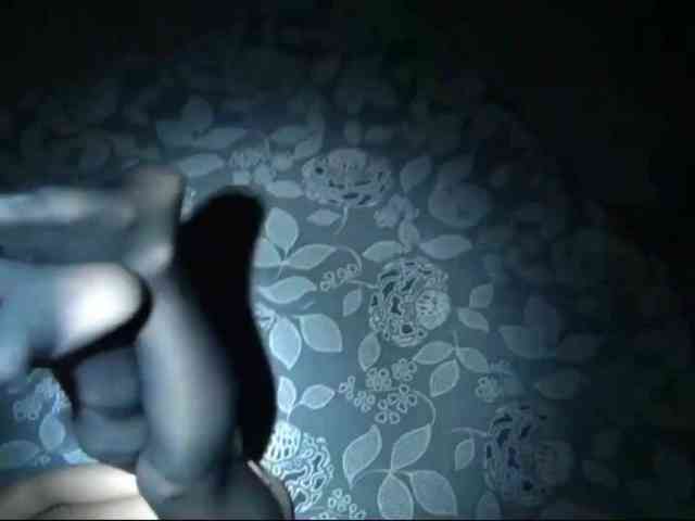 DiaFoxi webcam