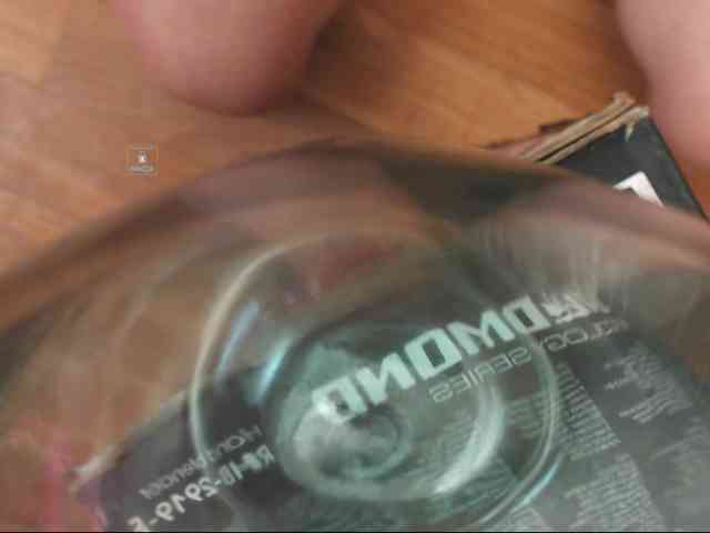 DiaFoxi webcam