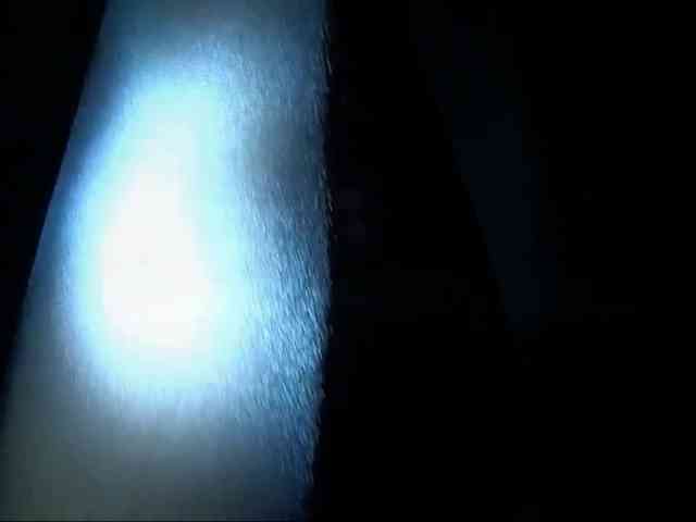 DiaFoxi
