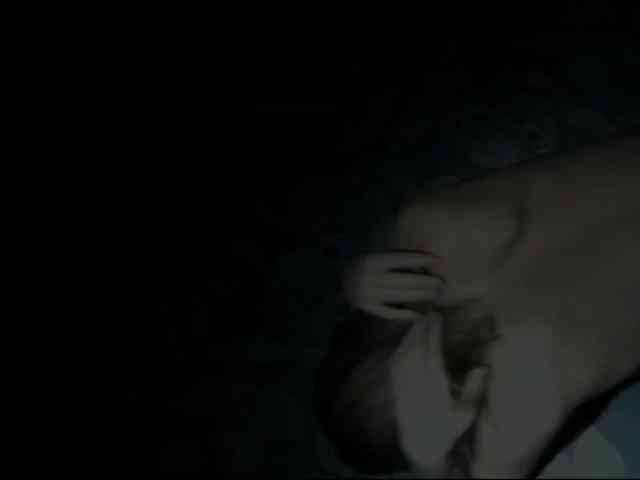 DiaFoxi webcam