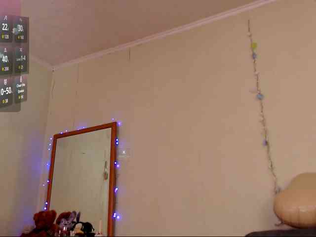DiaFoxi webcam