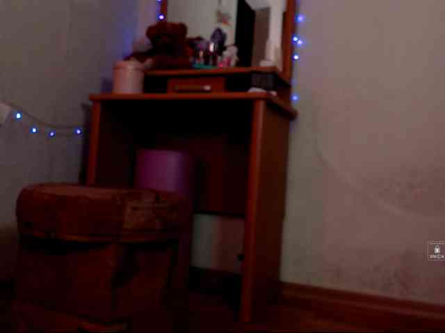 DiaFoxi webcam