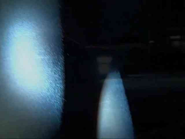 DiaFoxi webcam