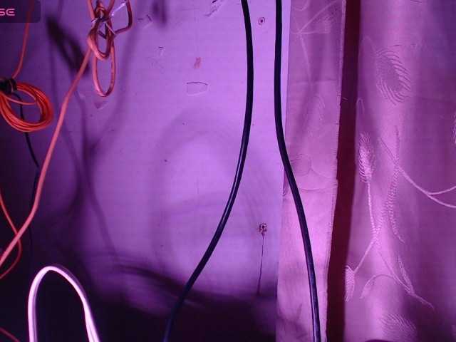 miaabrownn2's BongaCams show and profile