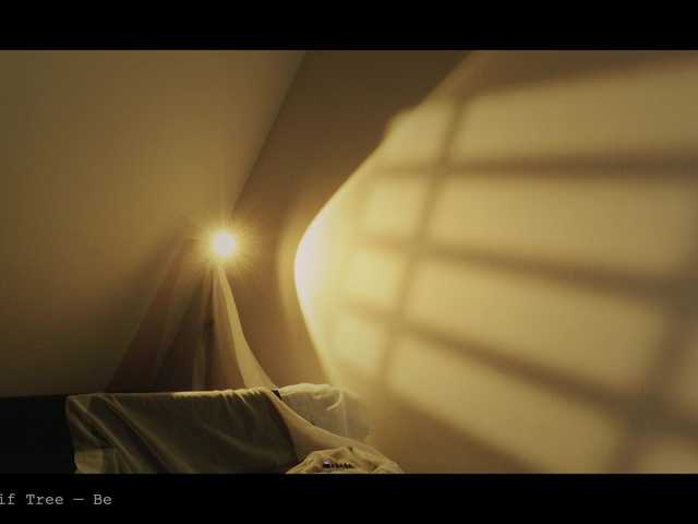 WebCora live cam preview