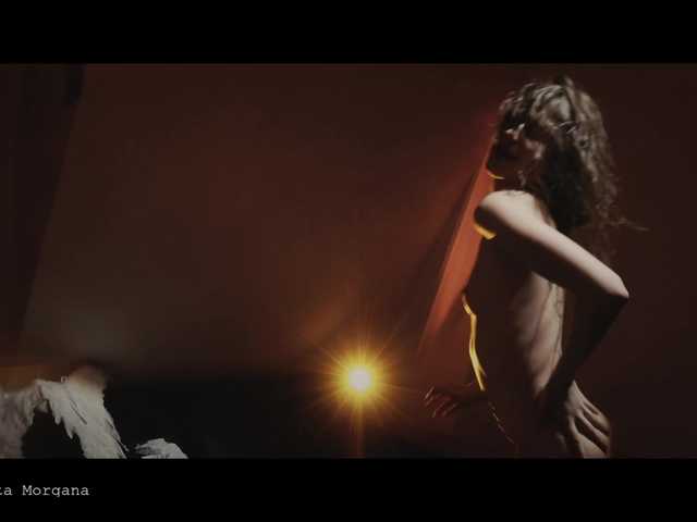 WebCora live cam preview