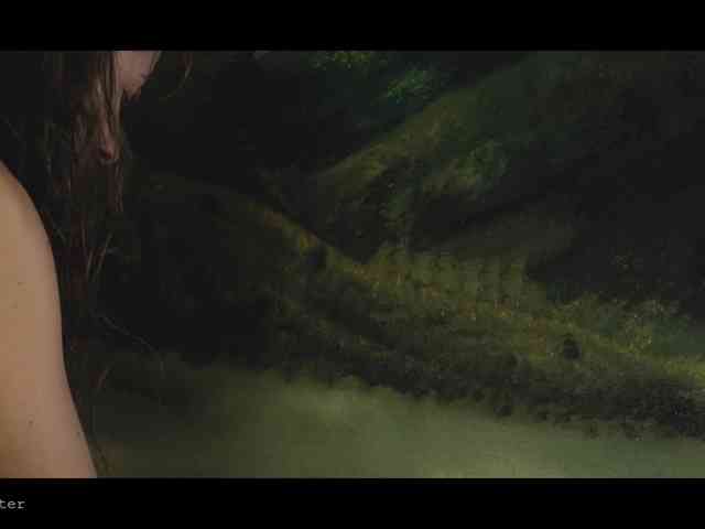 WebCora webcam