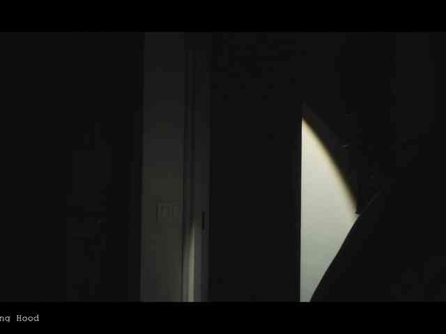 WebCora webcam