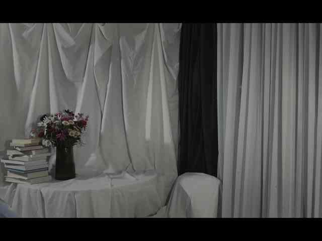WebCora webcam