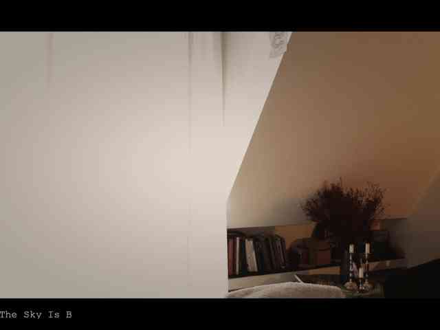 WebCora webcam