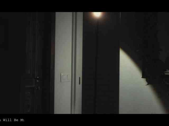WebCora webcam