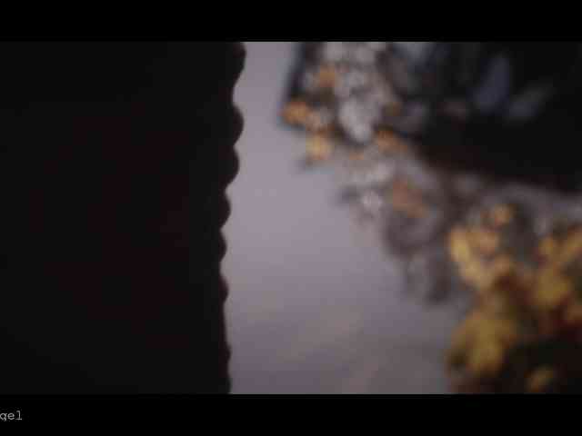 WebCora webcam