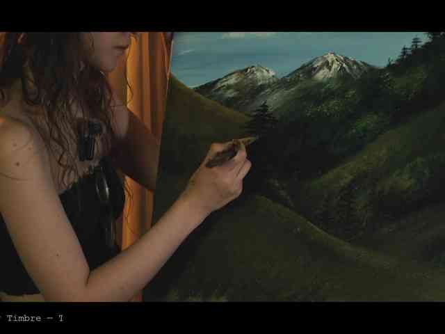 WebCora webcam