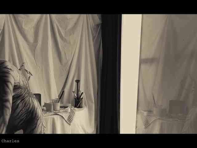 WebCora webcam