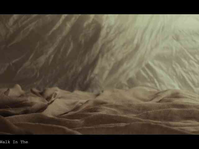 WebCora webcam