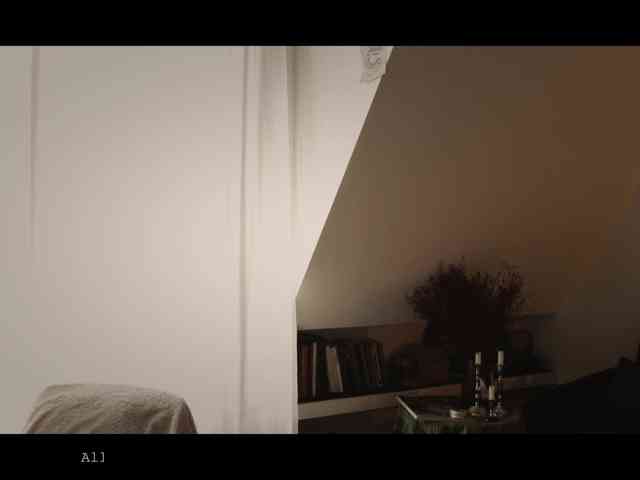 WebCora webcam