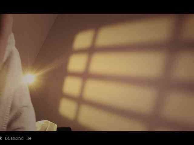 WebCora webcam