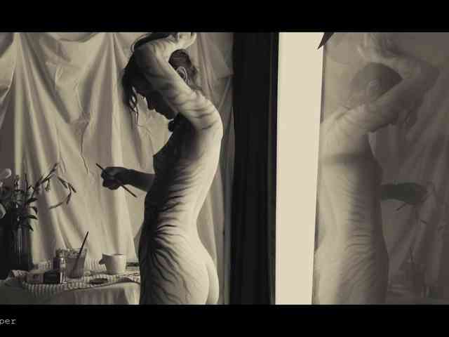 WebCora webcam