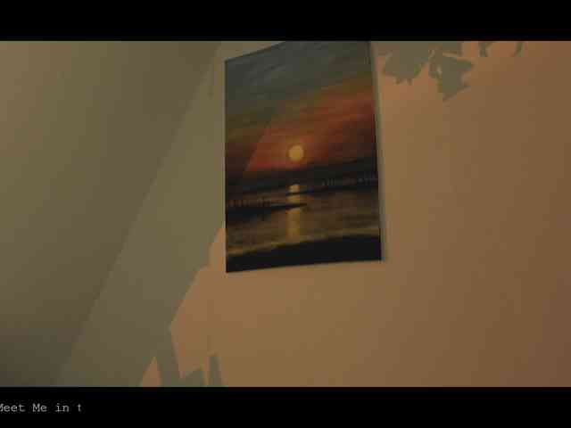 WebCora webcam