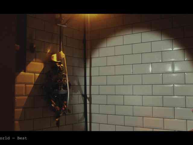 WebCora webcam