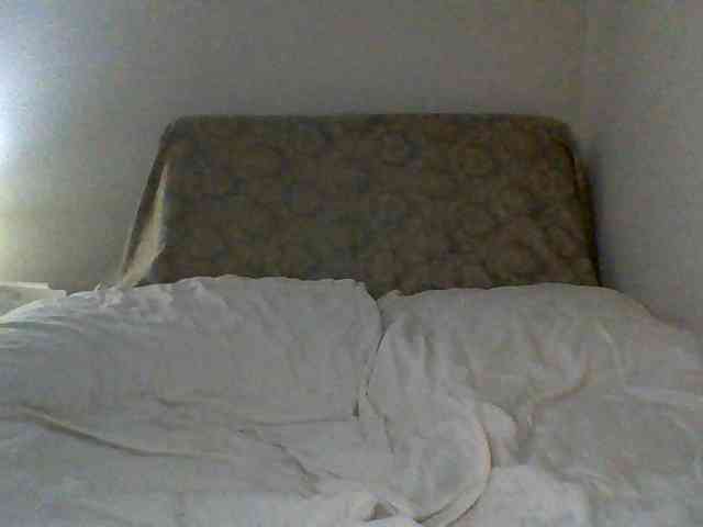 cindyvong webcam