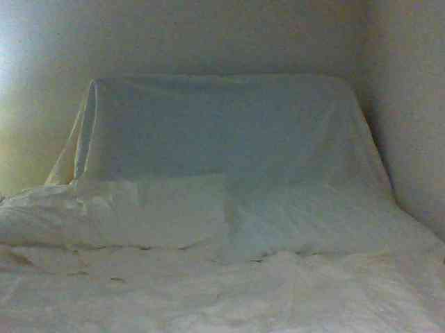 cindyvong webcam
