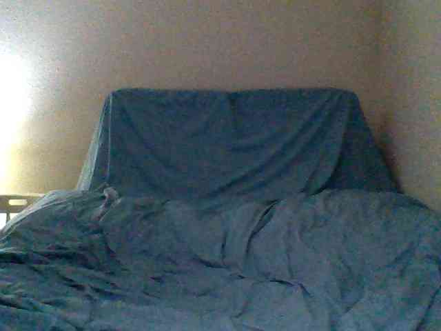 cindyvong webcam
