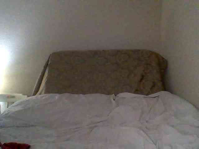 cindyvong webcam