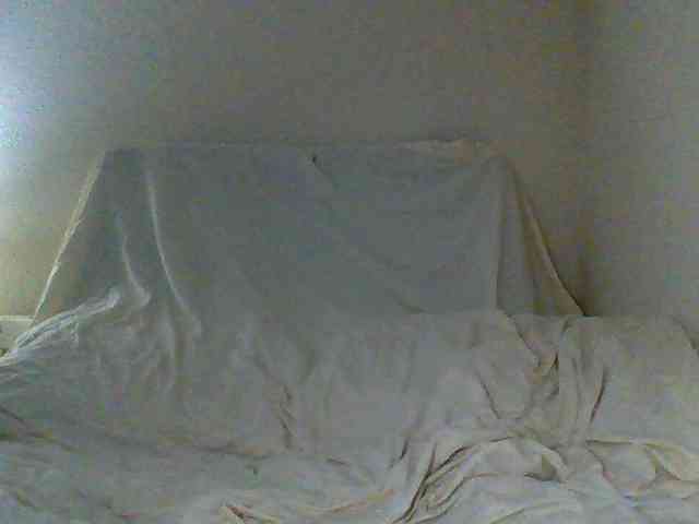 cindyvong webcam