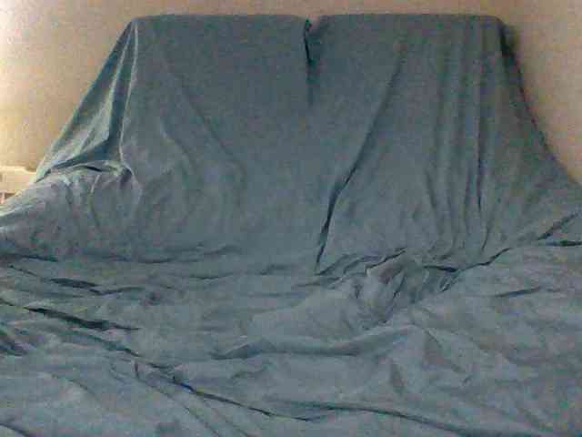 cindyvong webcam