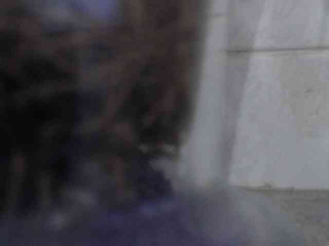 Seductivedirt webcam