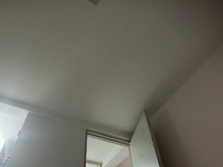 PaulinRoss Porn Show