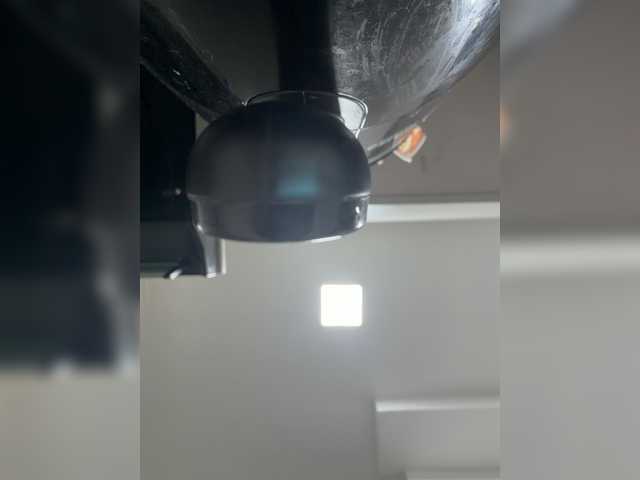 PaulinRoss's BongaCams show and profile