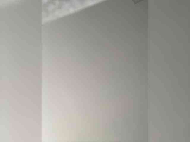 PaulinRoss webcam