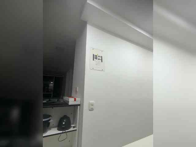 PaulinRoss webcam