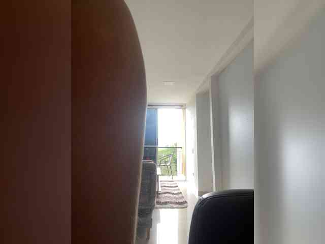 PaulinRoss webcam