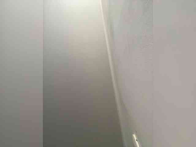 PaulinRoss webcam