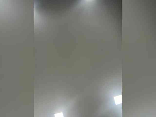 PaulinRoss webcam