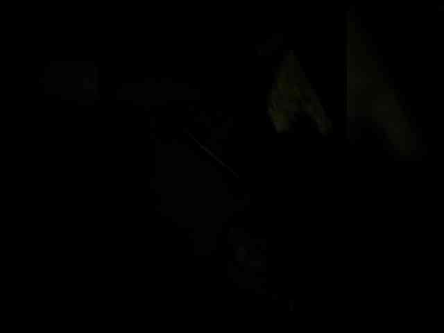 PaulinRoss webcam
