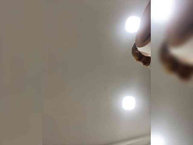 PaulinRoss webcam