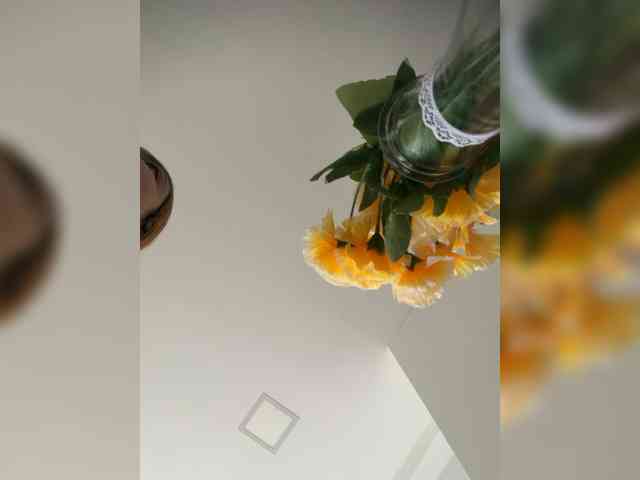 PaulinRoss webcam