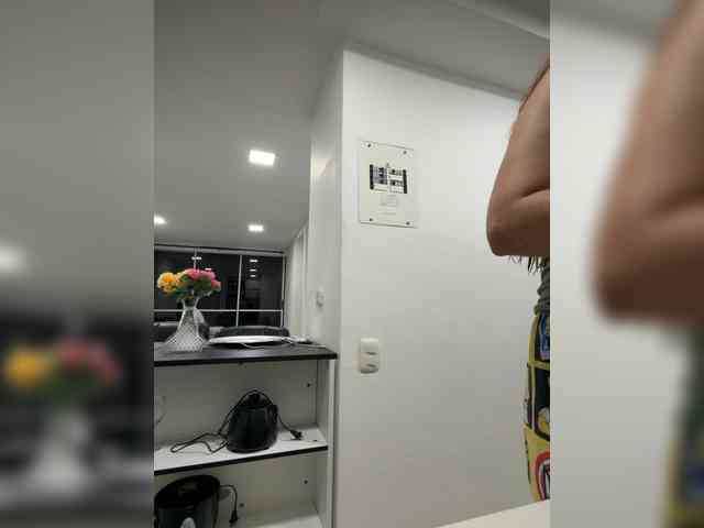 PaulinRoss webcam