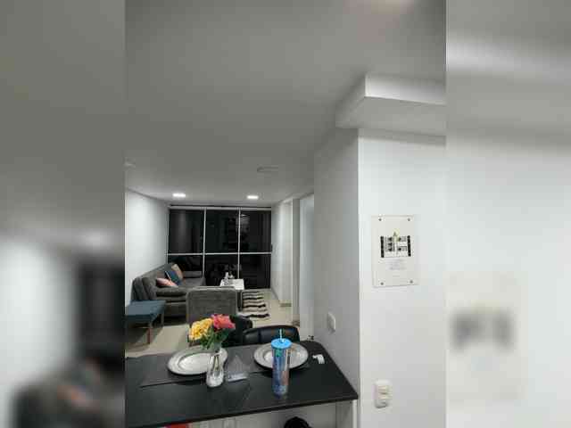 PaulinRoss webcam