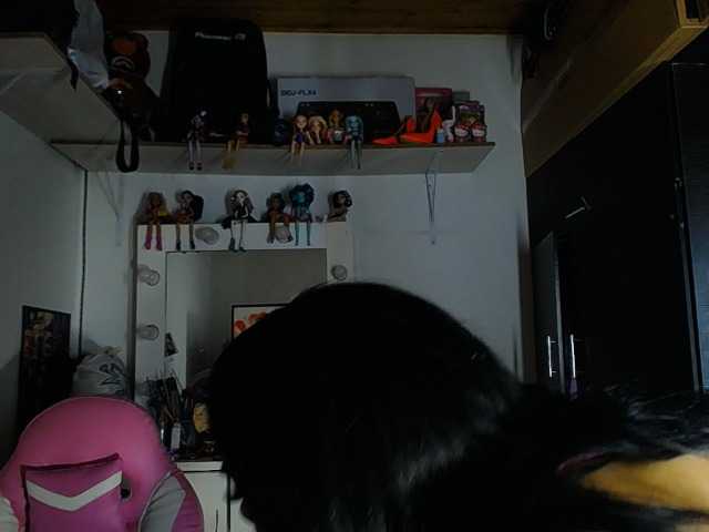 Catadiorxx