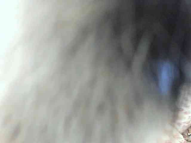 DonnaKlava webcam