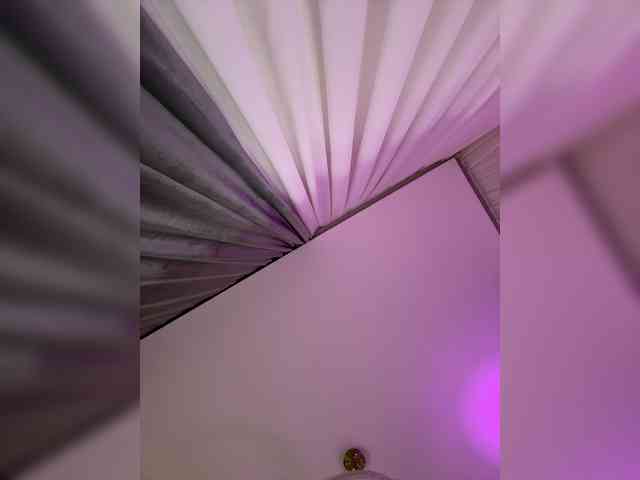 MENNDI webcam