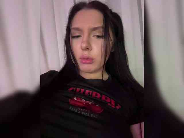 MENNDI webcam