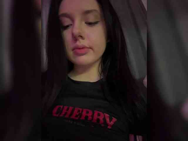 Модель: MENNDI