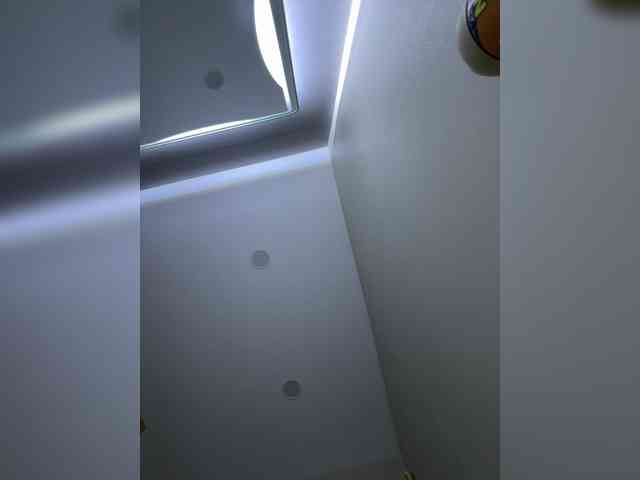MENNDI webcam