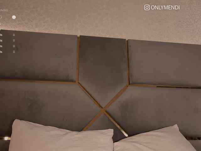 MENNDI webcam